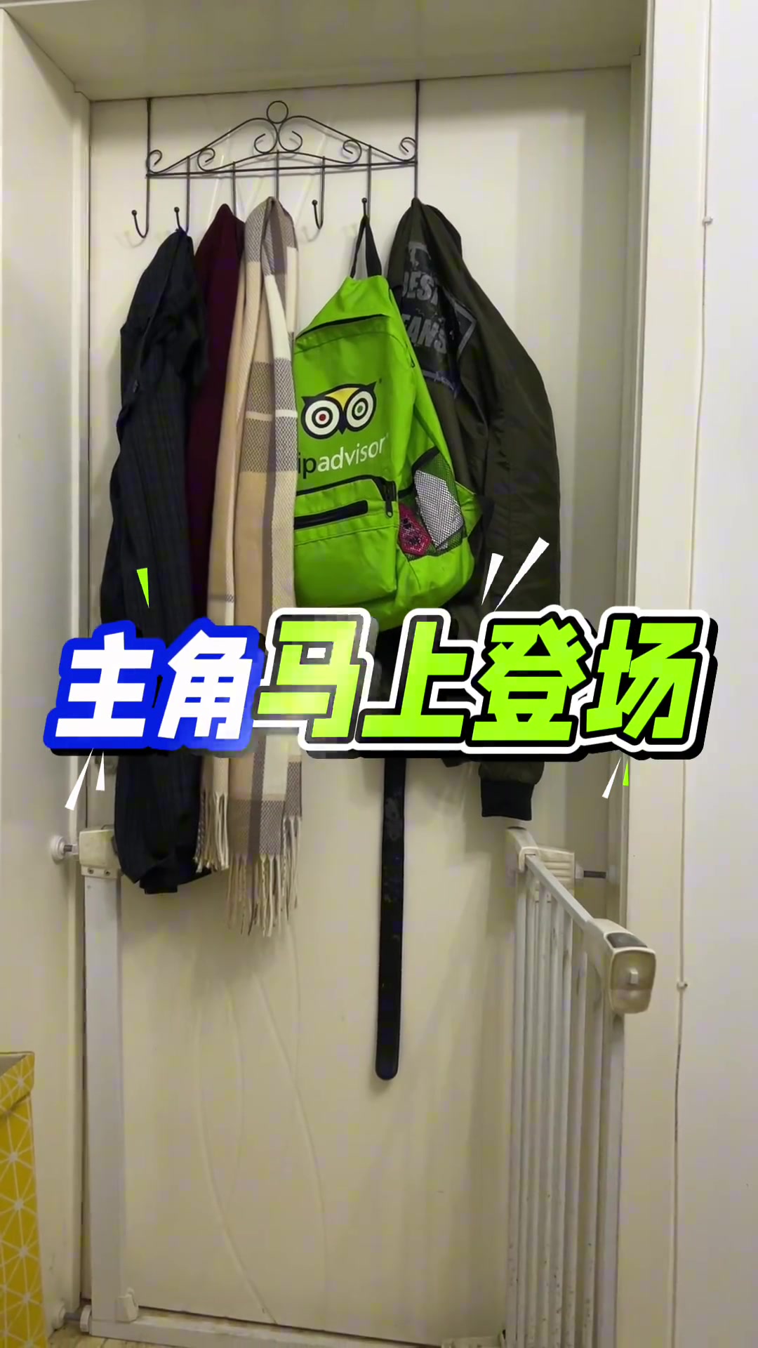 jinnianhui金年会太硬核😮70岁老太每天玩四小时魔兽世界：就是为了快乐 调解一下生活